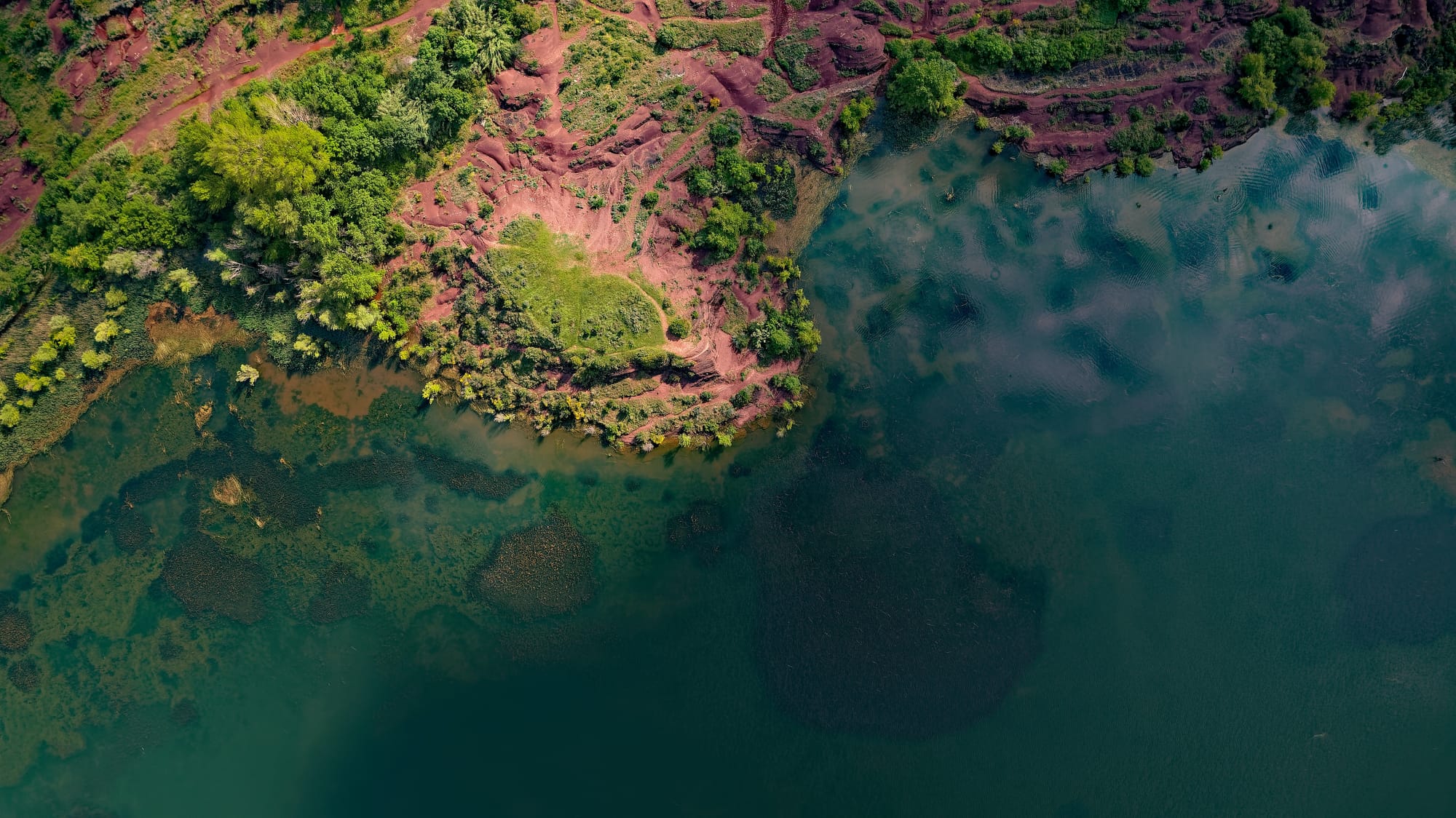 The Global Ocean Accounts Partnership