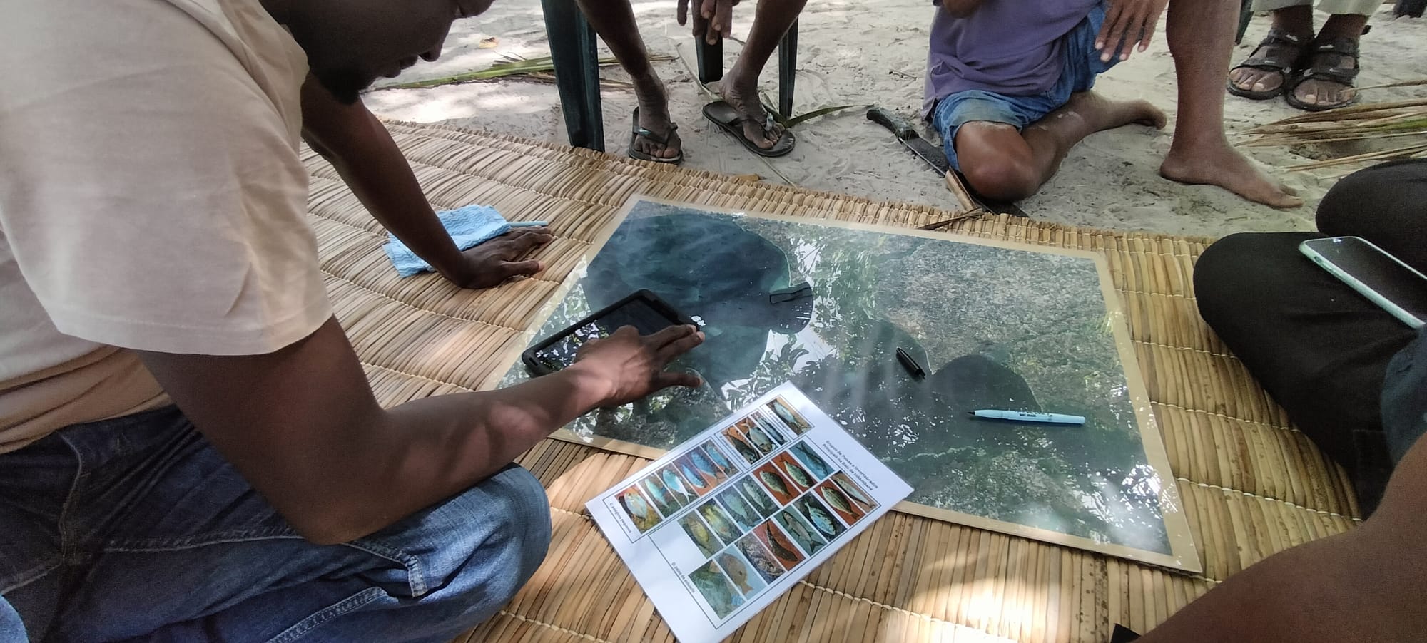 Social Accounts Working Group