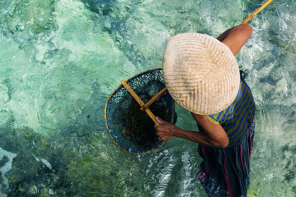 Why are ocean accounts important?