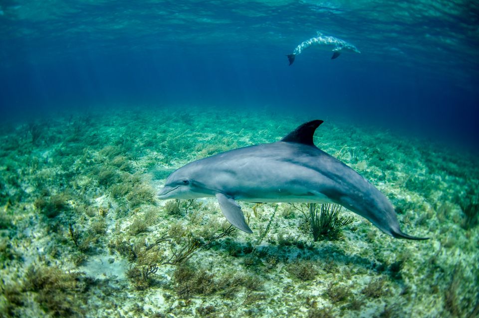 5th UN ESCAP Asia-Pacific Day for the Ocean