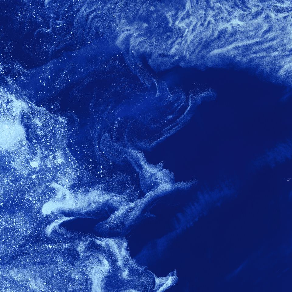 2022 Workshop on Earth Observation for Ecosystem Accounting