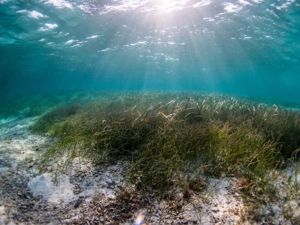 Ocean accounts as an approach to foster, monitor, and report progress towards sustainable development in a changing ocean – The Systems and Flows Model