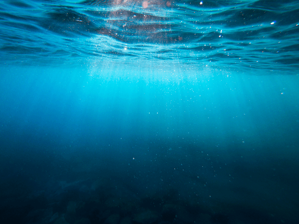 Global Progress Assessment on Ocean Accounting