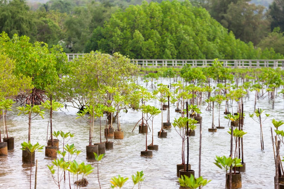 Harnessing ocean accounts: data-driven solutions for ocean finance