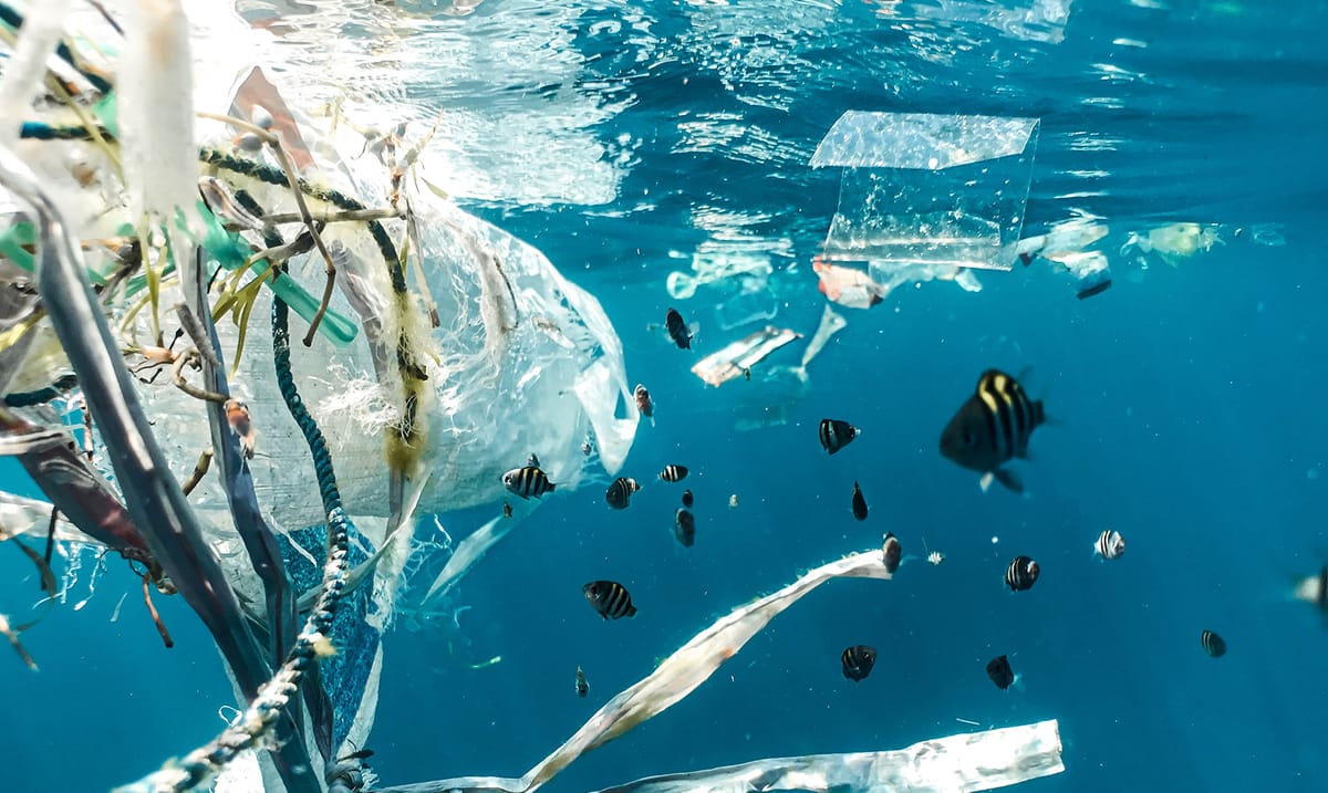 Policy brief: The need for data on plastics – ensuring a transparent, equitable and ambitious global agreement to end plastic pollution