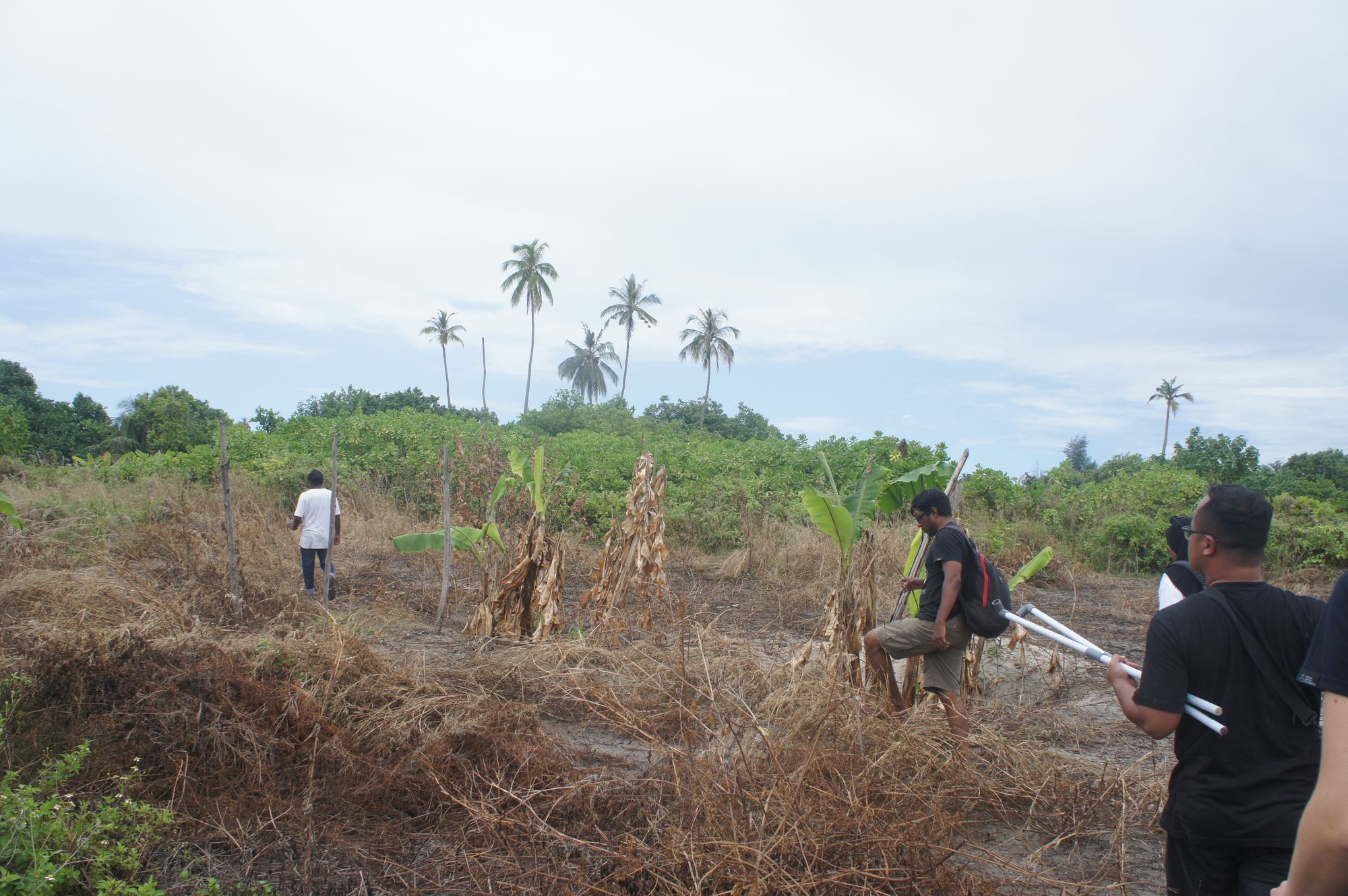 Field visits to Laamu Atoll, March and August, 2023.